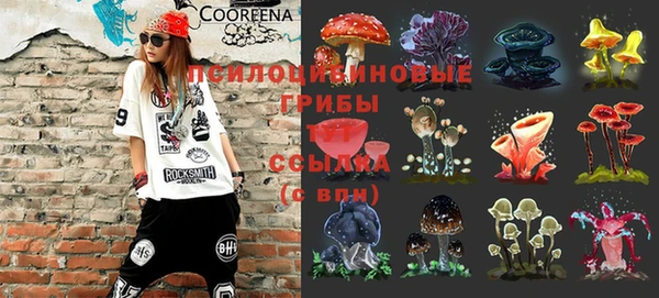 герыч Алзамай