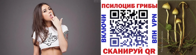 Псилоцибиновые грибы мухоморы Клинцы
