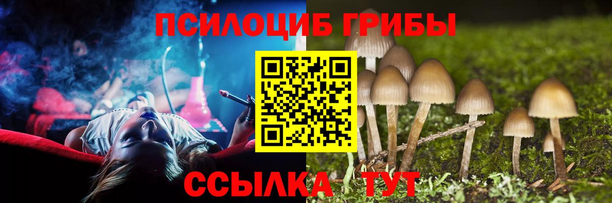 Псилоцибиновые грибы Magic Shrooms  Вход с VPN  как найти   Клинцы 