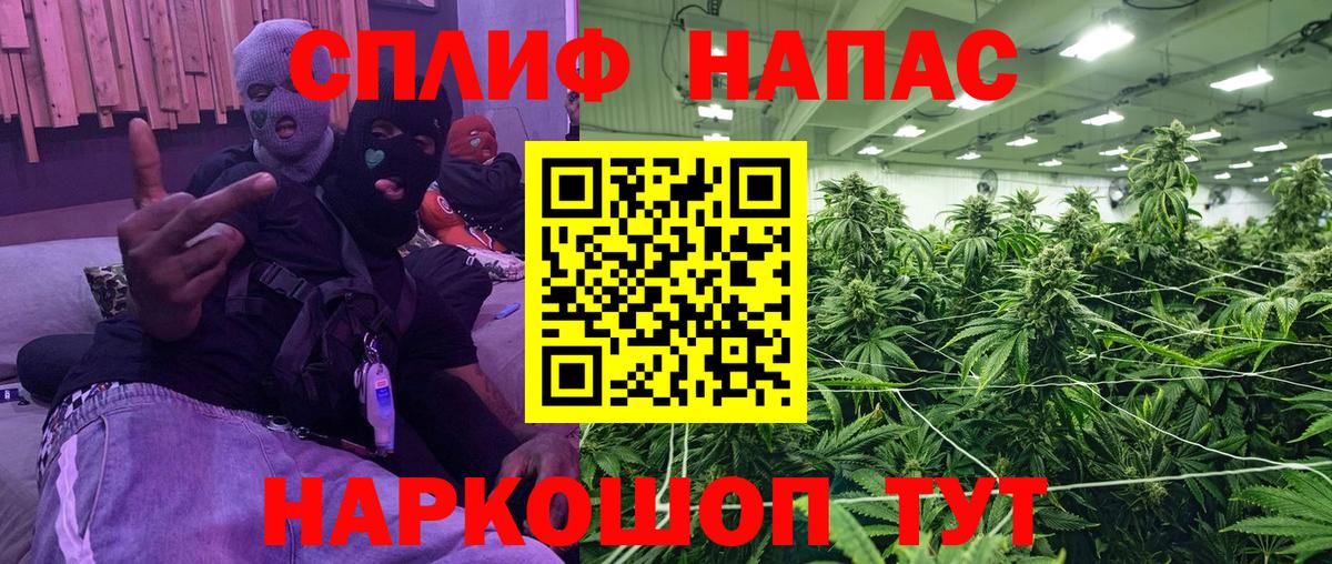 Каннабис марихуана Клинцы